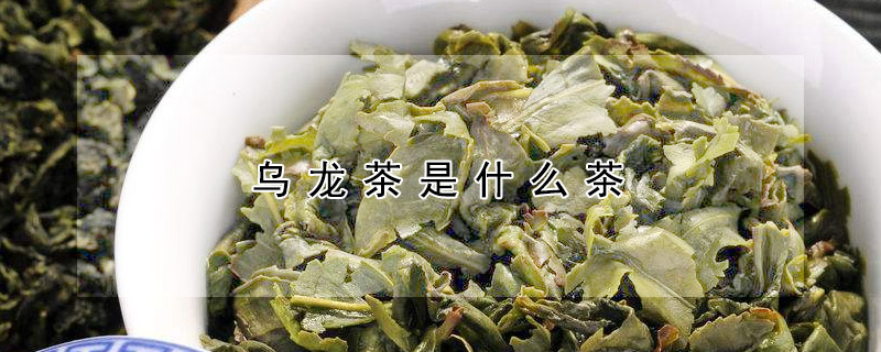 乌龙茶是什么茶